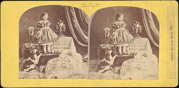 [Group of 31 Stereograph Views of Children With Animals], Life Groups (American), Albumen silver prints