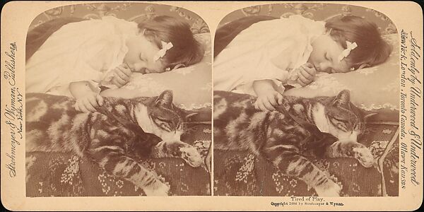 [Group of 31 Stereograph Views of Children With Animals], Life Groups (American), Albumen silver prints