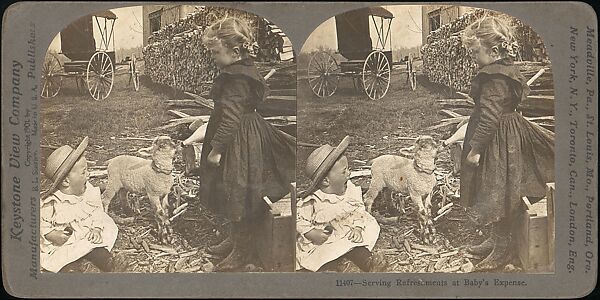 [Group of 31 Stereograph Views of Children With Animals], Life Groups (American), Albumen silver prints