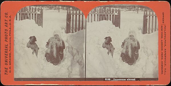 [Group of 31 Stereograph Views of Children With Animals], Life Groups (American), Albumen silver prints