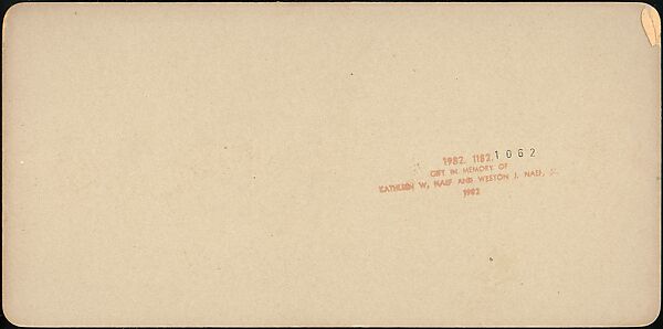 [Group of 31 Stereograph Views of Children With Animals], Life Groups (American), Albumen silver prints