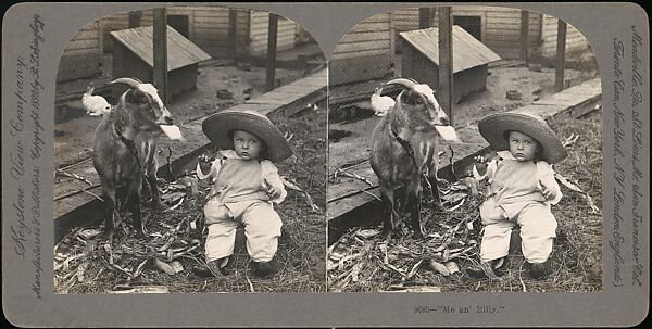 [Group of 31 Stereograph Views of Children With Animals], Life Groups (American), Albumen silver prints