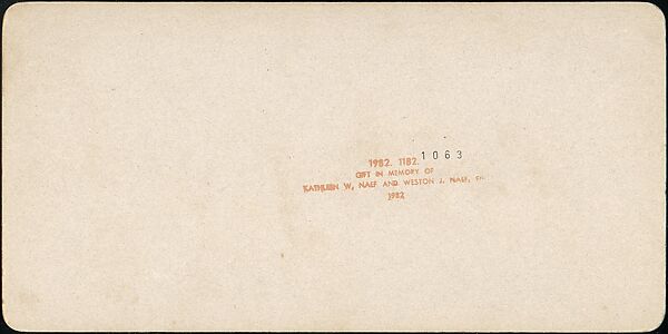 [Group of 31 Stereograph Views of Children With Animals], Life Groups (American), Albumen silver prints