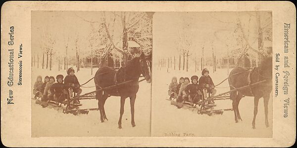 [Group of 31 Stereograph Views of Children With Animals], Life Groups (American), Albumen silver prints