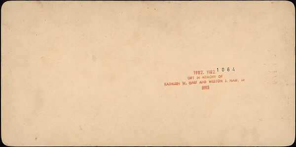 [Group of 31 Stereograph Views of Children With Animals], Life Groups (American), Albumen silver prints