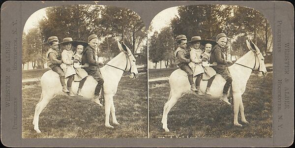 [Group of 31 Stereograph Views of Children With Animals], Life Groups (American), Albumen silver prints