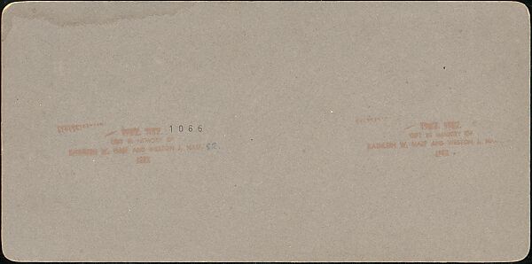 [Group of 31 Stereograph Views of Children With Animals], Life Groups (American), Albumen silver prints