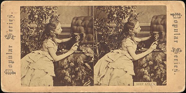[Group of 31 Stereograph Views of Children With Animals], Life Groups (American), Albumen silver prints
