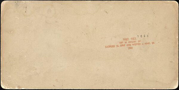 [Group of 31 Stereograph Views of Children With Animals], Life Groups (American), Albumen silver prints