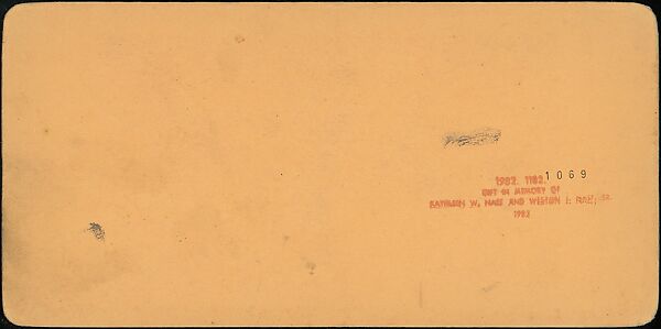 [Group of 31 Stereograph Views of Children With Animals], Life Groups (American), Albumen silver prints