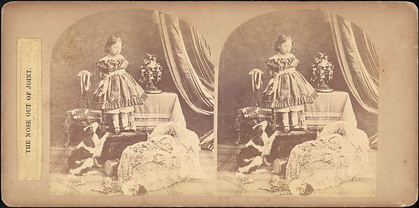 [Group of 31 Stereograph Views of Children With Animals], Life Groups (American), Albumen silver prints