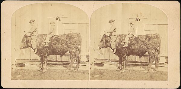 [Group of 31 Stereograph Views of Children With Animals], Life Groups (American), Albumen silver prints