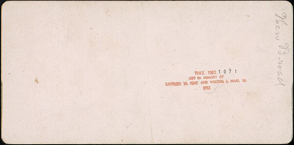 [Group of 31 Stereograph Views of Children With Animals], Life Groups (American), Albumen silver prints