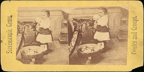 [Group of 31 Stereograph Views of Children With Animals], Life Groups (American), Albumen silver prints