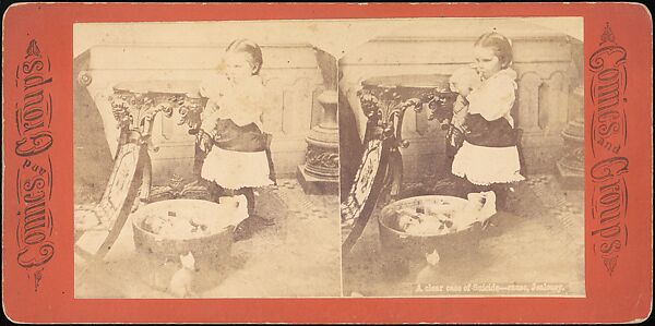 [Group of 31 Stereograph Views of Children With Animals], Life Groups (American), Albumen silver prints