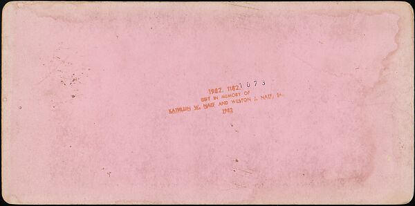 [Group of 31 Stereograph Views of Children With Animals], Life Groups (American), Albumen silver prints