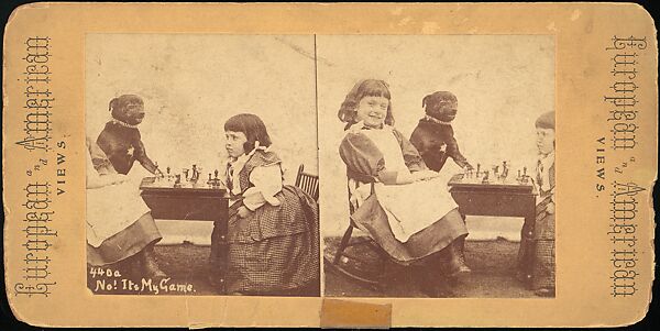 [Group of 31 Stereograph Views of Children With Animals], Life Groups (American), Albumen silver prints