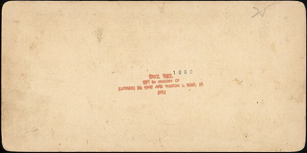 [Group of 55 Stereograph Views of Groups of Children], Comic Series, Albumen silver prints