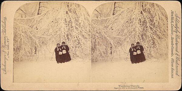 [Group of 55 Stereograph Views of Groups of Children], Comic Series, Albumen silver prints