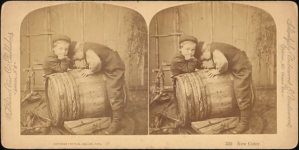 [Group of 55 Stereograph Views of Groups of Children], Comic Series, Albumen silver prints