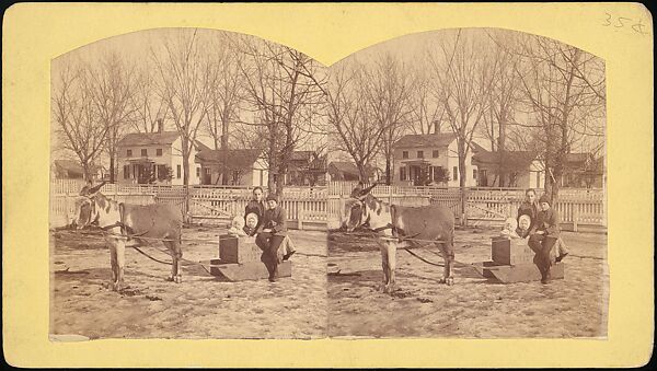 [Group of 55 Stereograph Views of Groups of Children], Comic Series, Albumen silver prints