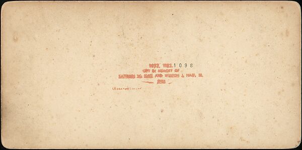 [Group of 55 Stereograph Views of Groups of Children], Comic Series, Albumen silver prints