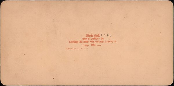 [Group of 55 Stereograph Views of Groups of Children], Comic Series, Albumen silver prints