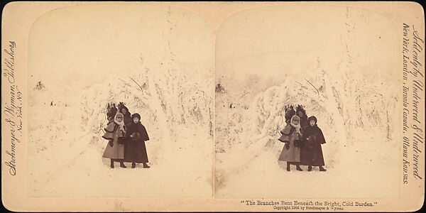 [Group of 55 Stereograph Views of Groups of Children], Comic Series, Albumen silver prints