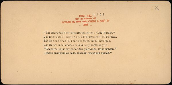 [Group of 55 Stereograph Views of Groups of Children], Comic Series, Albumen silver prints