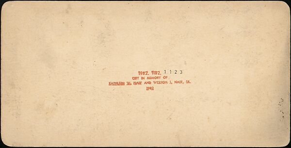 [Group of 55 Stereograph Views of Groups of Children], Comic Series, Albumen silver prints