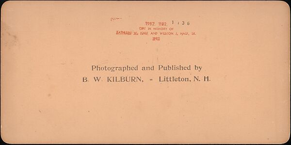 [Group of 21 Stereograph Views of China], Kilburn Brothers (American, active ca. 1865–1890), Albumen silver prints