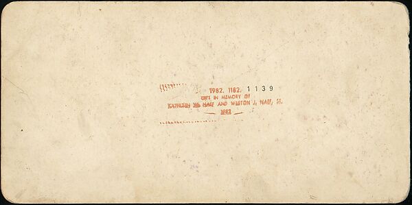 [Group of 21 Stereograph Views of China], Kilburn Brothers (American, active ca. 1865–1890), Albumen silver prints