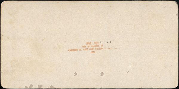 [Group of 21 Stereograph Views of China], Kilburn Brothers (American, active ca. 1865–1890), Albumen silver prints