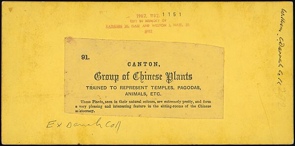 [Group of 21 Stereograph Views of China], Kilburn Brothers (American, active ca. 1865–1890), Albumen silver prints