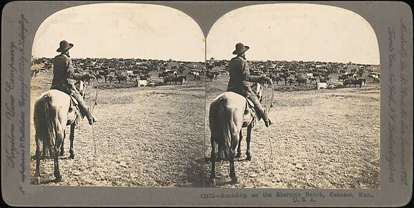 [Group of 11 Stereograph Views of Cowboys], European and American Views, Albumen silver prints