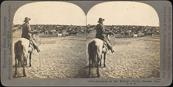[Group of 11 Stereograph Views of Cowboys], European and American Views, Albumen silver prints