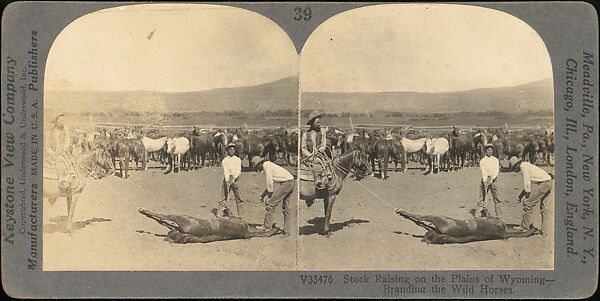 [Group of 11 Stereograph Views of Cowboys], European and American Views, Albumen silver prints