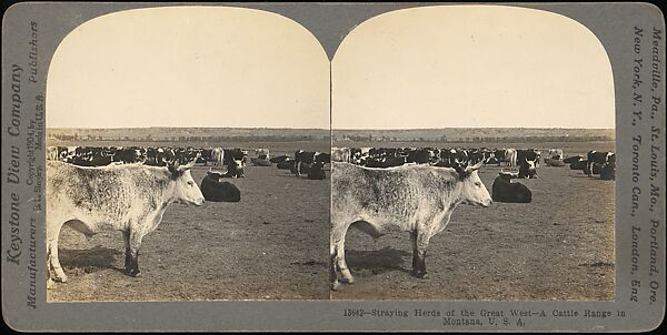 [Group of 11 Stereograph Views of Cowboys], European and American Views, Albumen silver prints