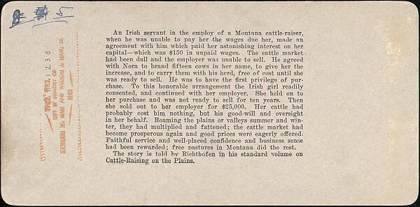 [Group of 11 Stereograph Views of Cowboys], European and American Views, Albumen silver prints