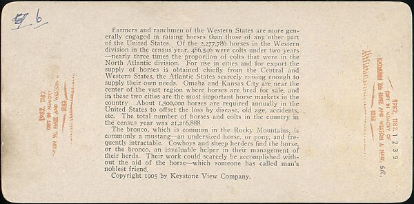 [Group of 11 Stereograph Views of Cowboys], European and American Views, Albumen silver prints