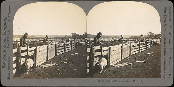 [Group of 11 Stereograph Views of Cowboys], European and American Views, Albumen silver prints