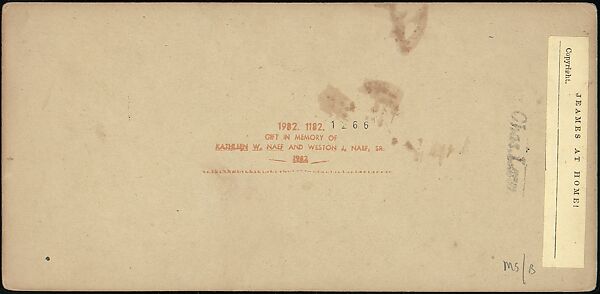 [Group of 42 Stereograph Views From the London Stereoscopic Company, 1860-1870, Many Hand-Colored to Illustrate Books], London Stereoscopic Company (British), Albumen silver prints