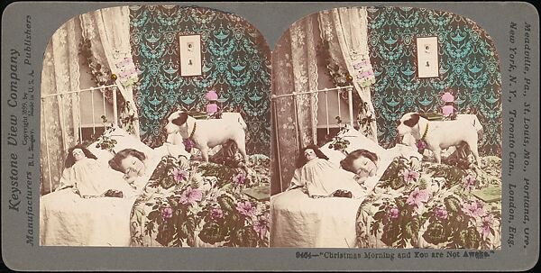 [Group of 42 Stereograph Views From the London Stereoscopic Company, 1860-1870, Many Hand-Colored to Illustrate Books], London Stereoscopic Company (British), Albumen silver prints