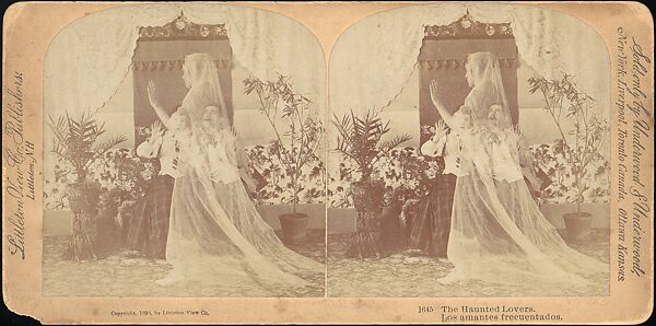 [Group of 42 Stereograph Views From the London Stereoscopic Company, 1860-1870, Many Hand-Colored to Illustrate Books], London Stereoscopic Company (British), Albumen silver prints