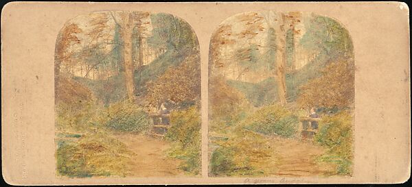 [Group of 42 Stereograph Views From the London Stereoscopic Company, 1860-1870, Many Hand-Colored to Illustrate Books], London Stereoscopic Company (British), Albumen silver prints