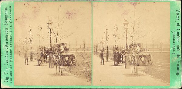 [Group of 42 Stereograph Views From the London Stereoscopic Company, 1860-1870, Many Hand-Colored to Illustrate Books], London Stereoscopic Company (British), Albumen silver prints