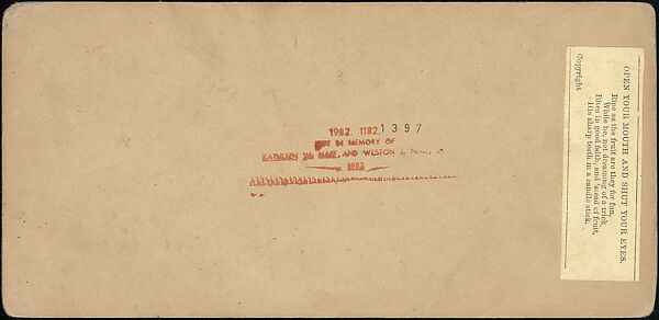 [Group of 42 Stereograph Views From the London Stereoscopic Company, 1860-1870, Many Hand-Colored to Illustrate Books], London Stereoscopic Company (British), Albumen silver prints