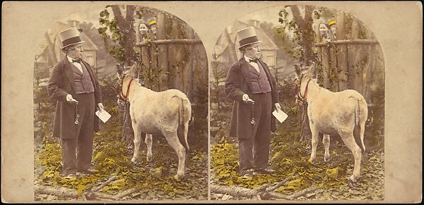 [Group of 42 Stereograph Views From the London Stereoscopic Company, 1860-1870, Many Hand-Colored to Illustrate Books], London Stereoscopic Company (British), Albumen silver prints