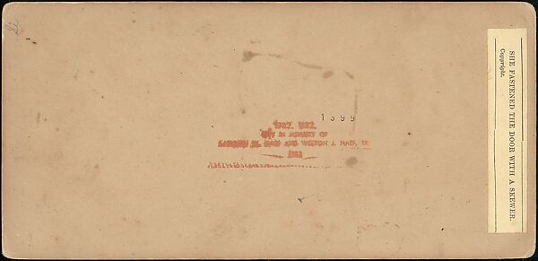 [Group of 42 Stereograph Views From the London Stereoscopic Company, 1860-1870, Many Hand-Colored to Illustrate Books], London Stereoscopic Company (British), Albumen silver prints