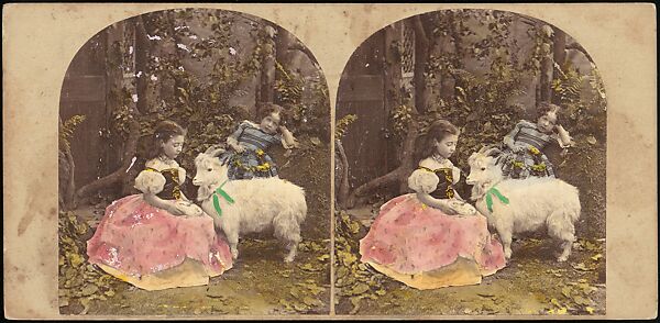 [Group of 42 Stereograph Views From the London Stereoscopic Company, 1860-1870, Many Hand-Colored to Illustrate Books], London Stereoscopic Company (British), Albumen silver prints